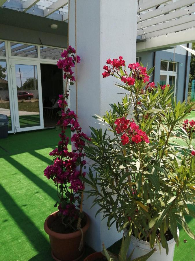 Tina Guest House Basarabi Kültér fotó